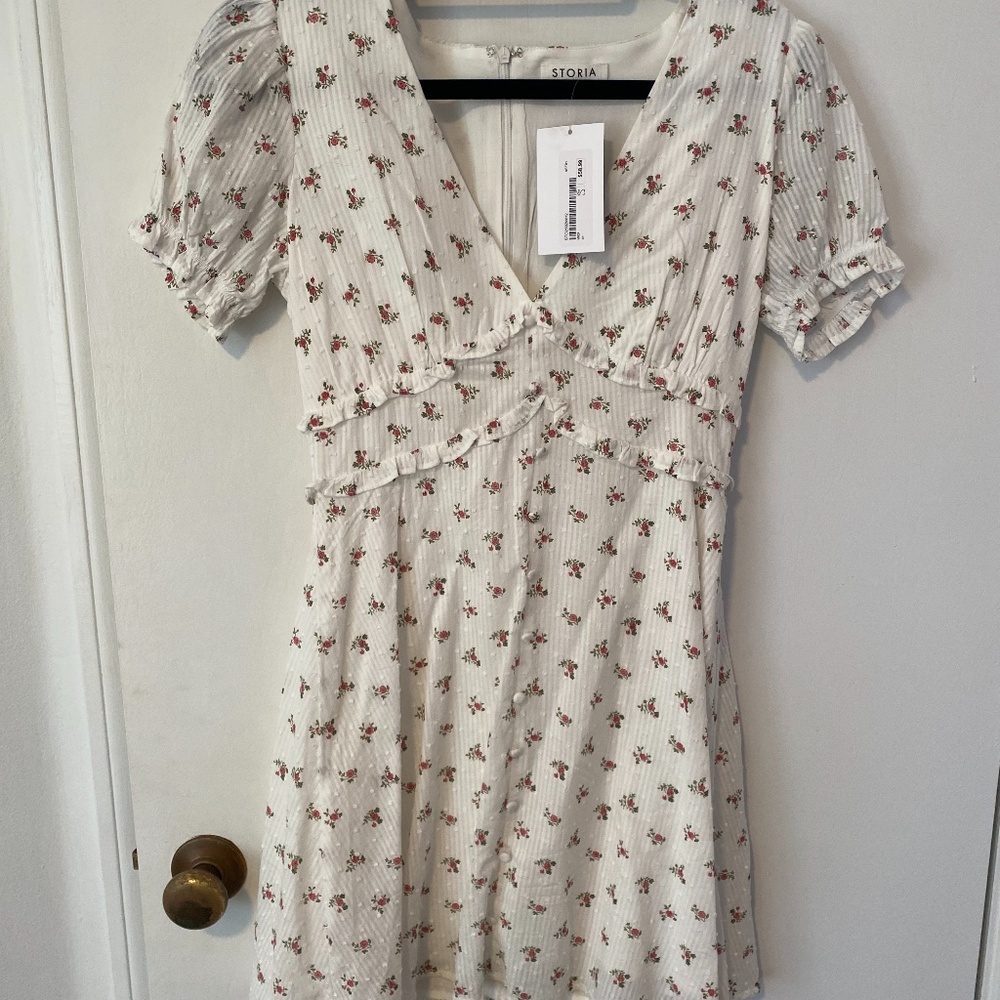 nwt Spring dress